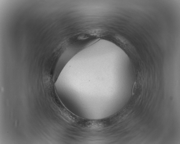 X0000062890601200601271649