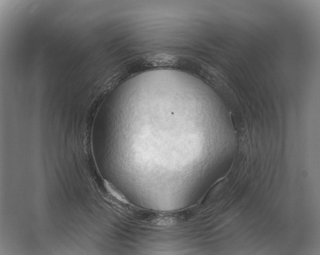 X0000062890604200601271649