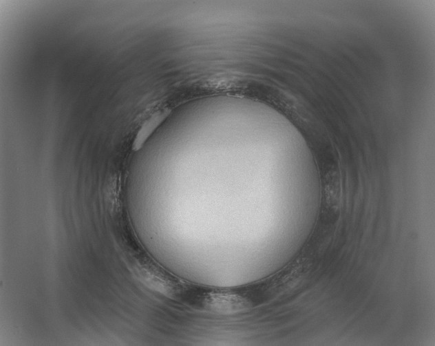 X0000062890605200601271649