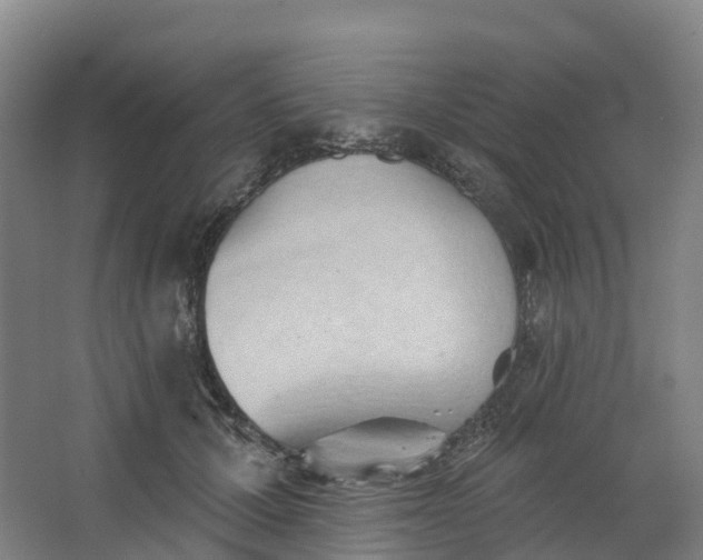 X0000062890607200601271649