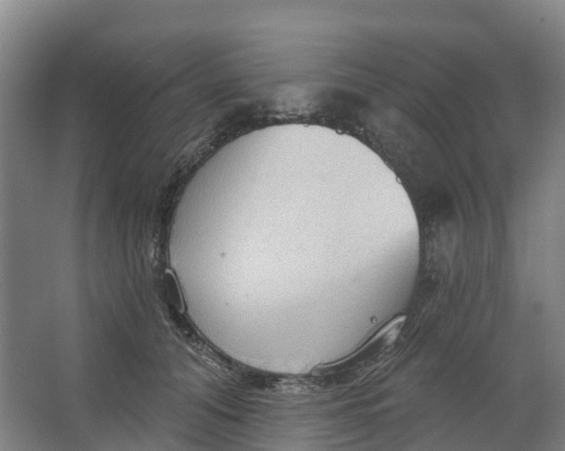 X0000062890608200601271649