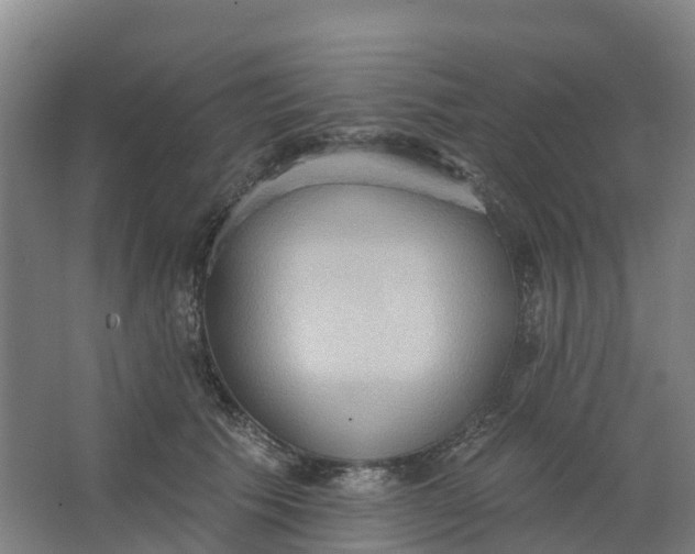 X0000062890609200601271649