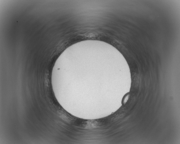 X0000062890612200601271649