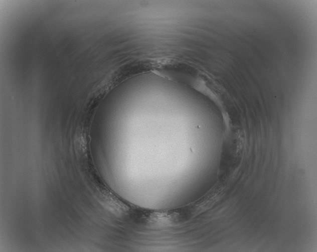 X0000062890613200601271649