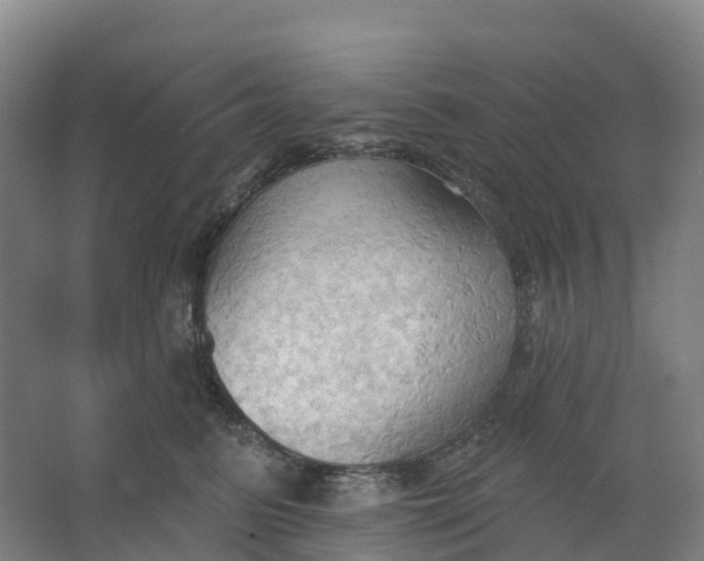 X0000062890615200601271649