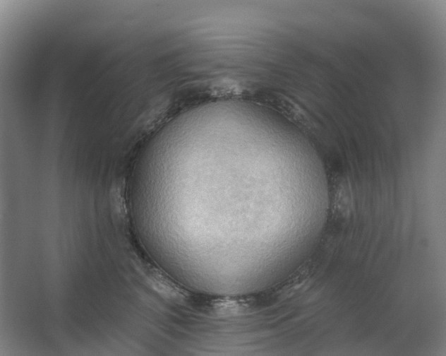 X0000062890616200601271649