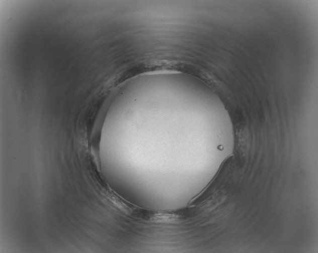 X0000062890617200601271649