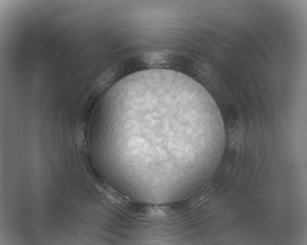 X0000062890618200601271649