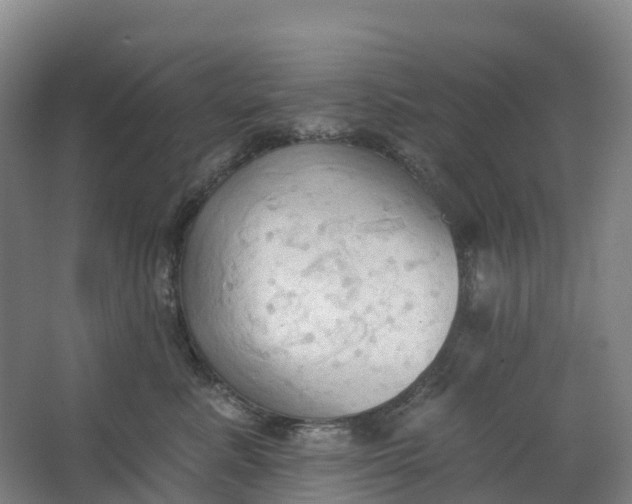 X0000062890619200601271649