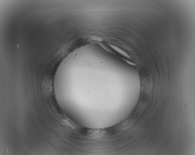 X0000062890621200601271649