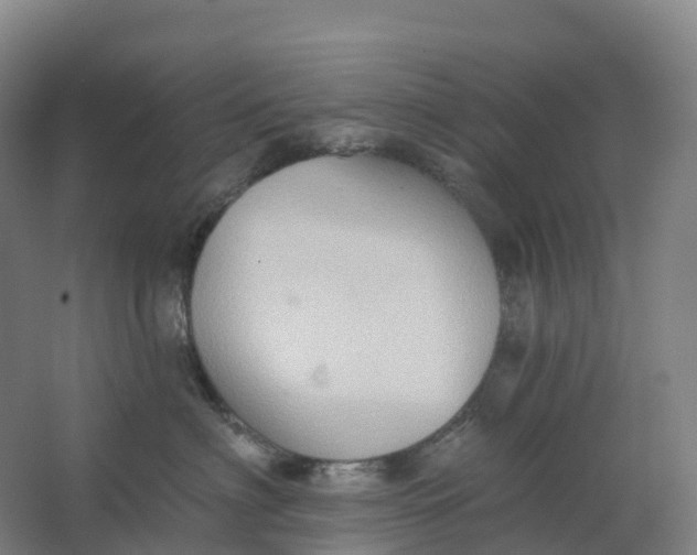 X0000062890622200601271649