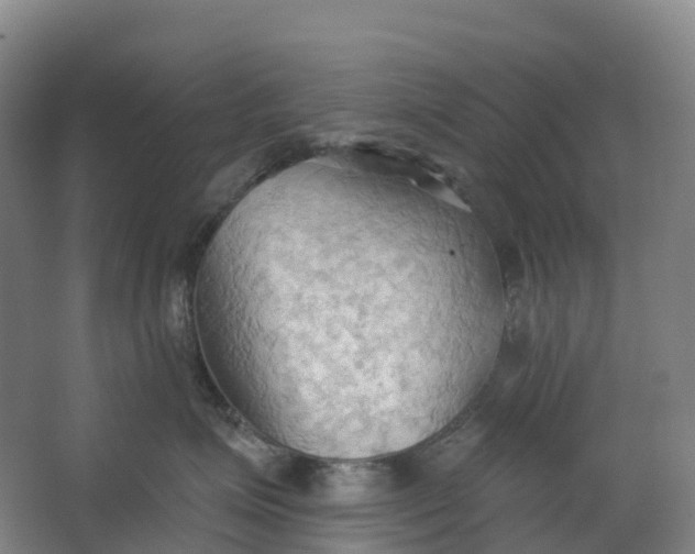 X0000062890623200601271649