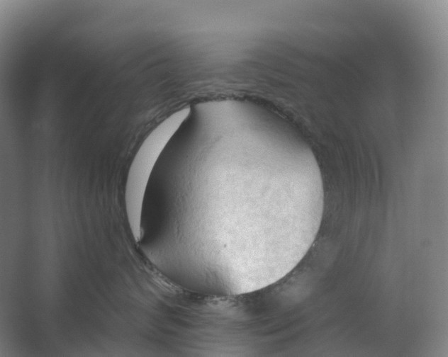 X0000062890624200601271649