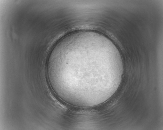 X0000062890625200601271648