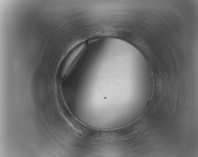 X0000062890626200601271648