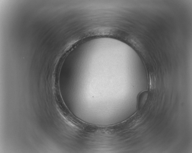 X0000062890627200601271648