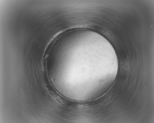 X0000062890628200601271648