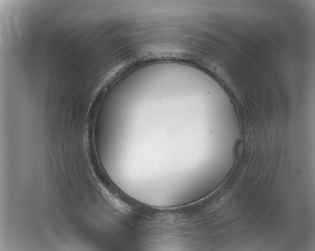 X0000062890629200601271648