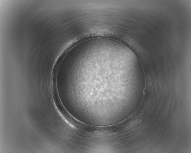 X0000062890630200601271648