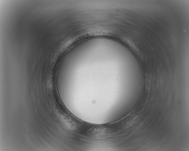 X0000062890631200601271648