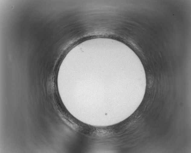 X0000062890632200601271648