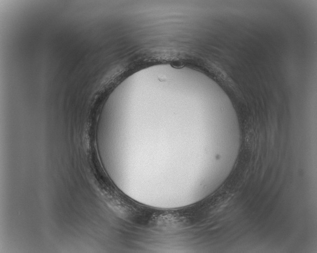 X0000062890635200601271648