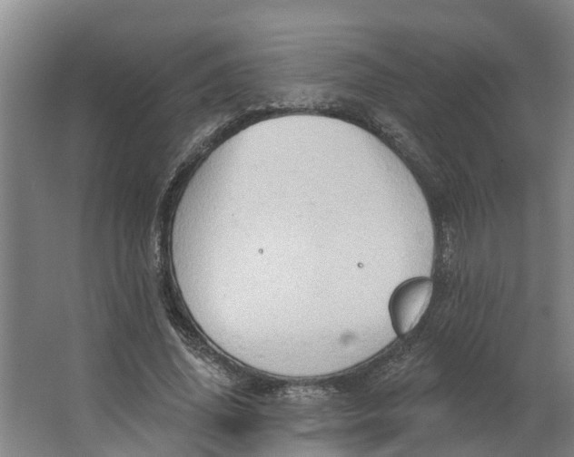 X0000062890636200601271648