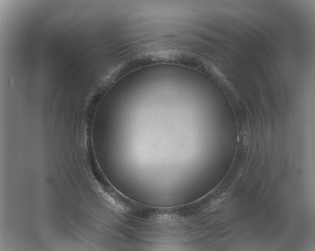 X0000062890637200601271648