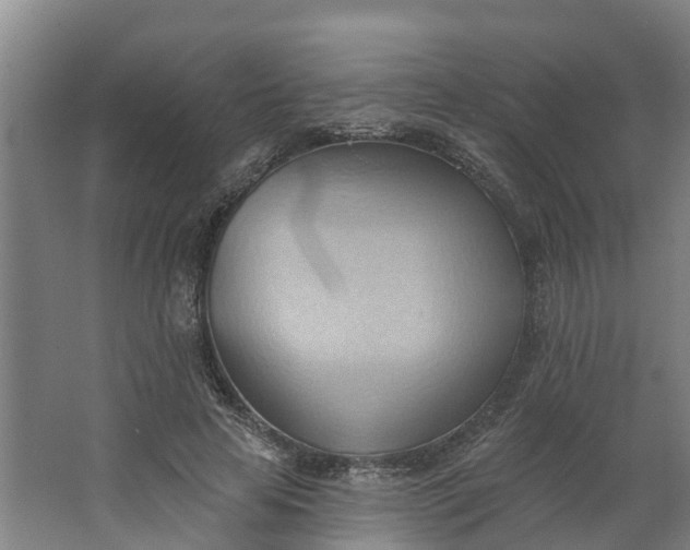 X0000062890641200601271649