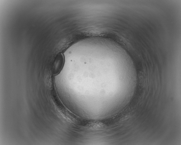 X0000062890642200601271649