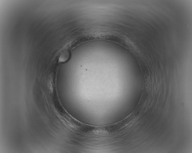 X0000062890644200601271649