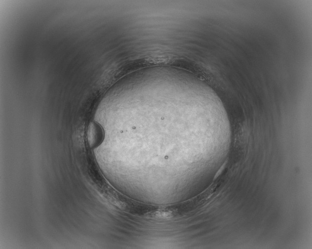 X0000062890647200601271649