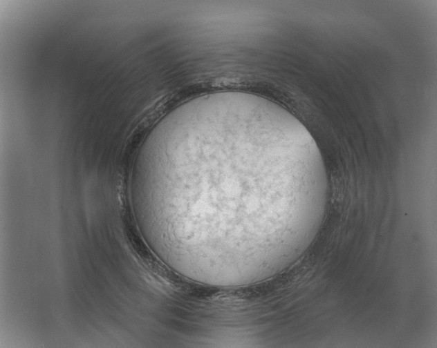 X0000062890648200601271649