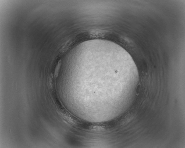 X0000062890649200601271649