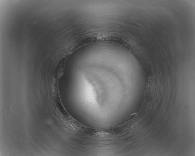 X0000062890650200601271649