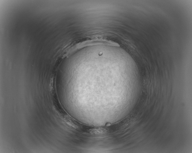 X0000062890652200601271649