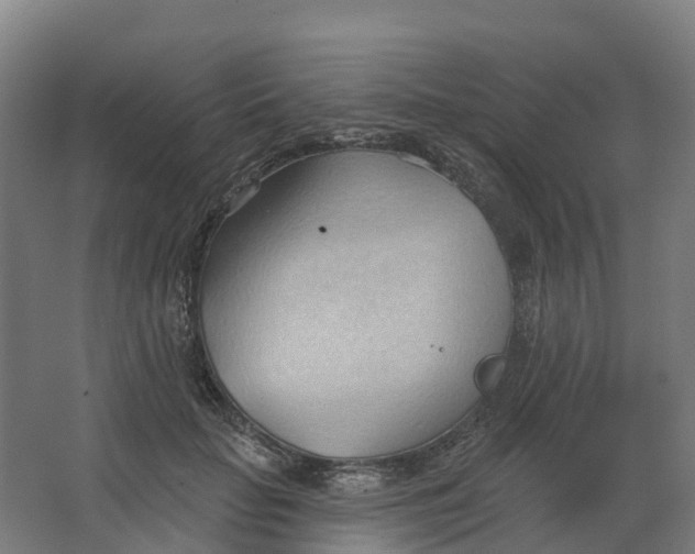 X0000062890653200601271649