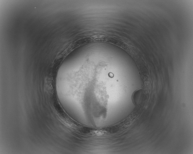 X0000062890654200601271649