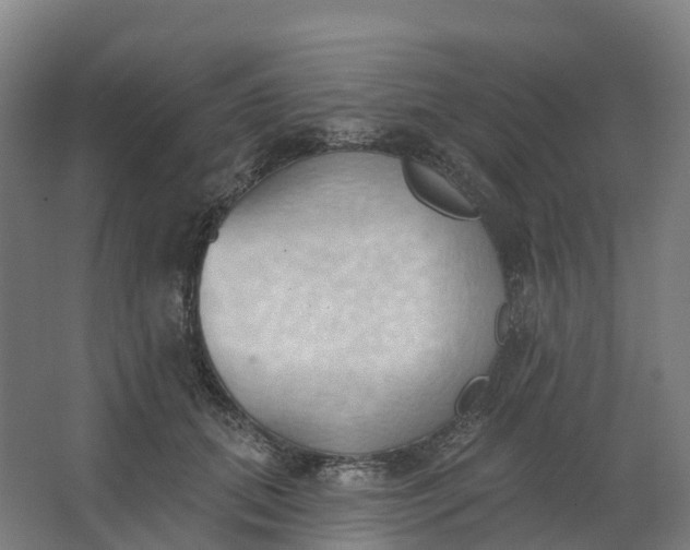 X0000062890655200601271649