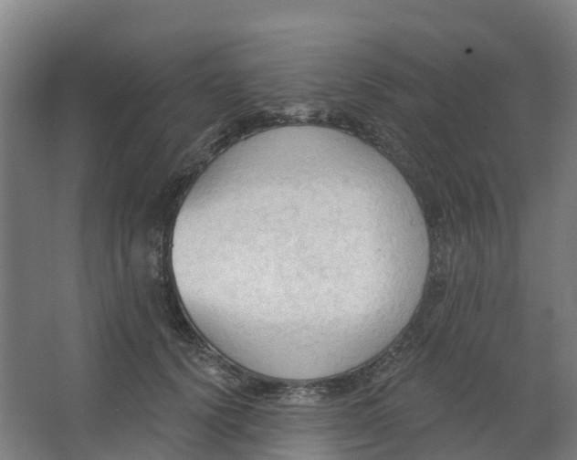 X0000062890656200601271649