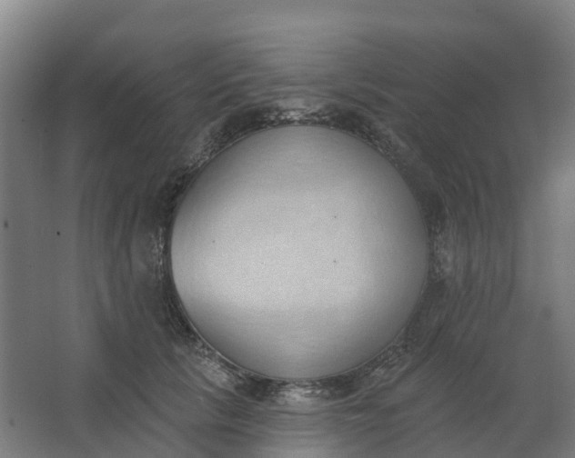 X0000062890657200601271649