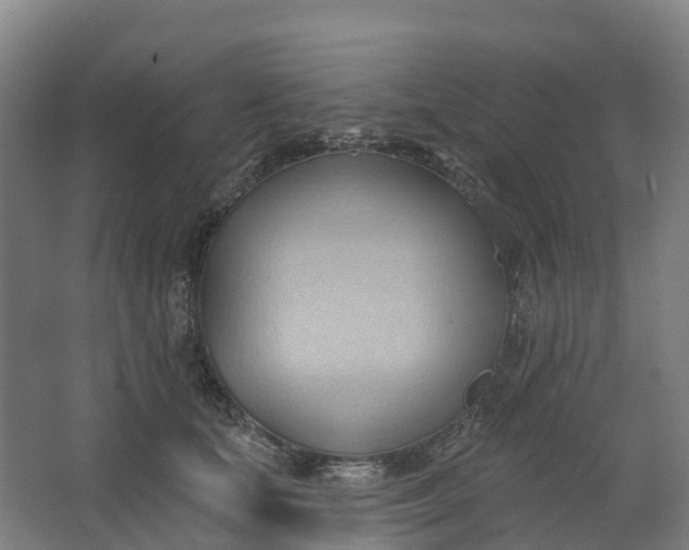 X0000062890659200601271649