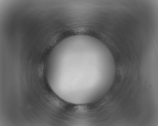 X0000062890660200601271649