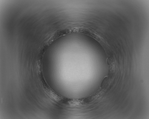 X0000062890661200601271649