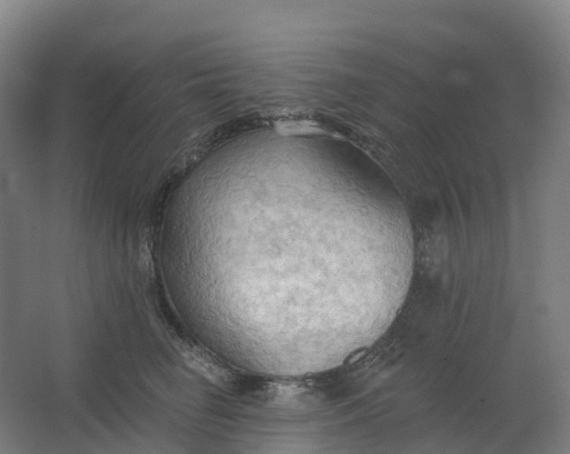 X0000062890662200601271649