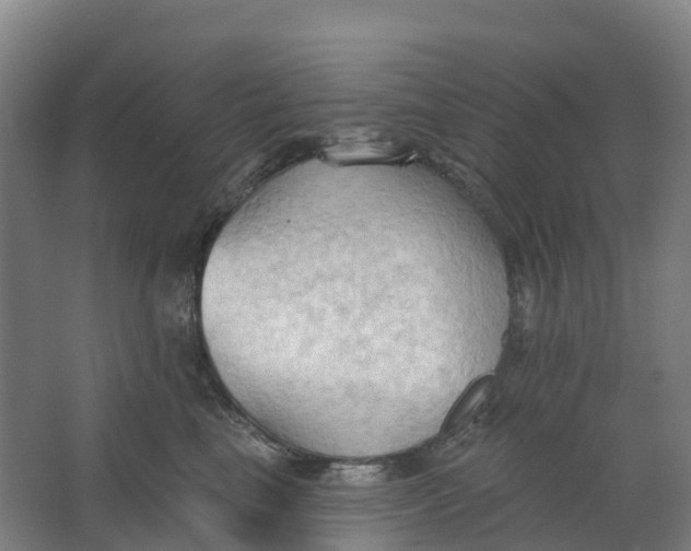 X0000062890665200601271649