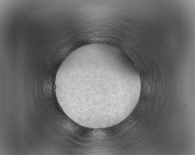 X0000062890668200601271649