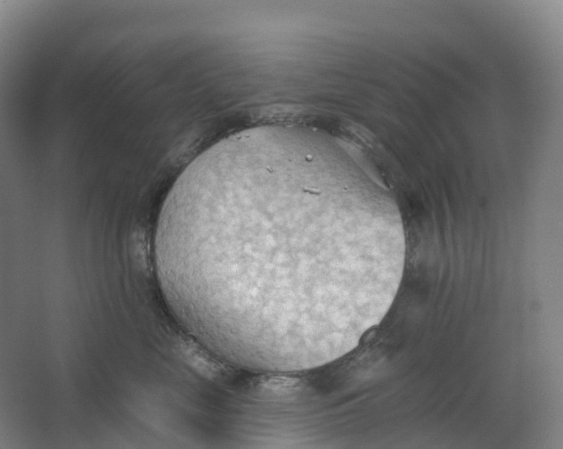 X0000062890669200601271649