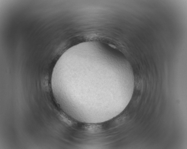 X0000062890670200601271649