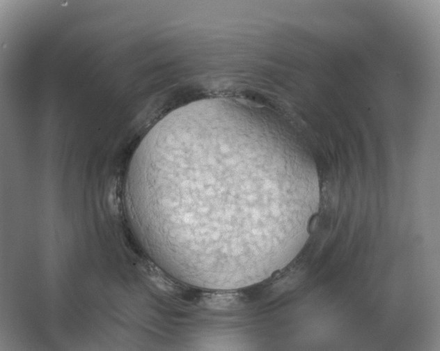 X0000062890671200601271649